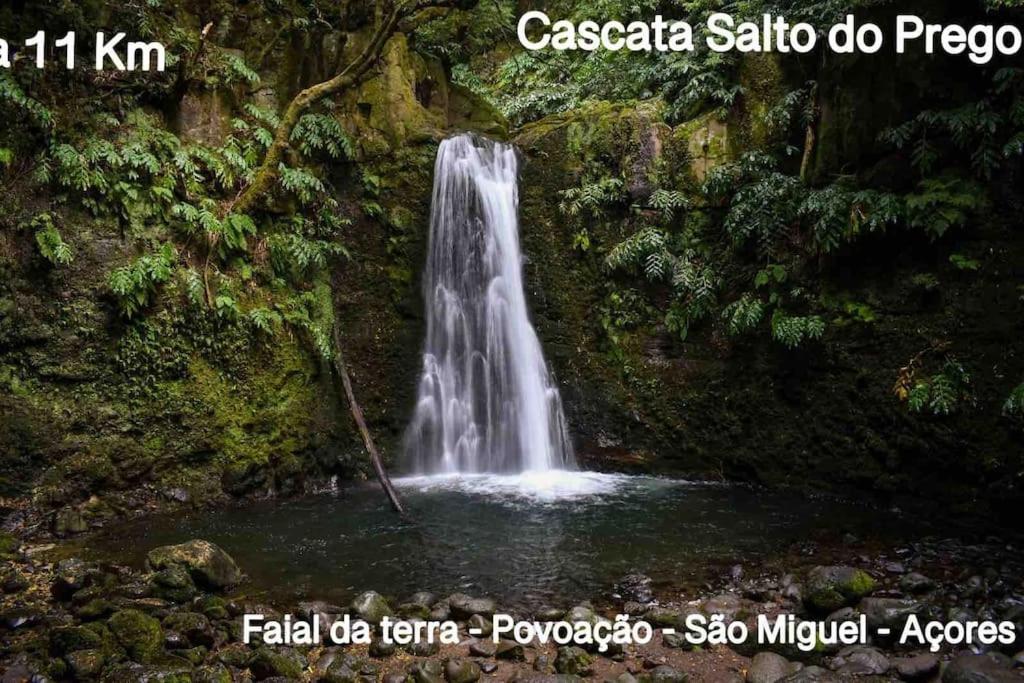 Вилла The Spot - Ilha De Sao Miguel Повоасан Экстерьер фото